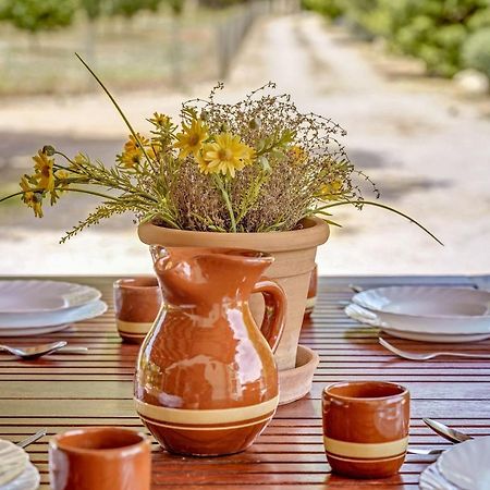 Finca L'Hort Nou ポレンサ エクステリア 写真