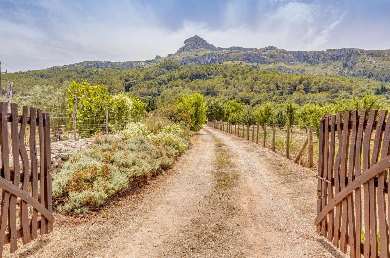 Finca L'Hort Nou ポレンサ エクステリア 写真