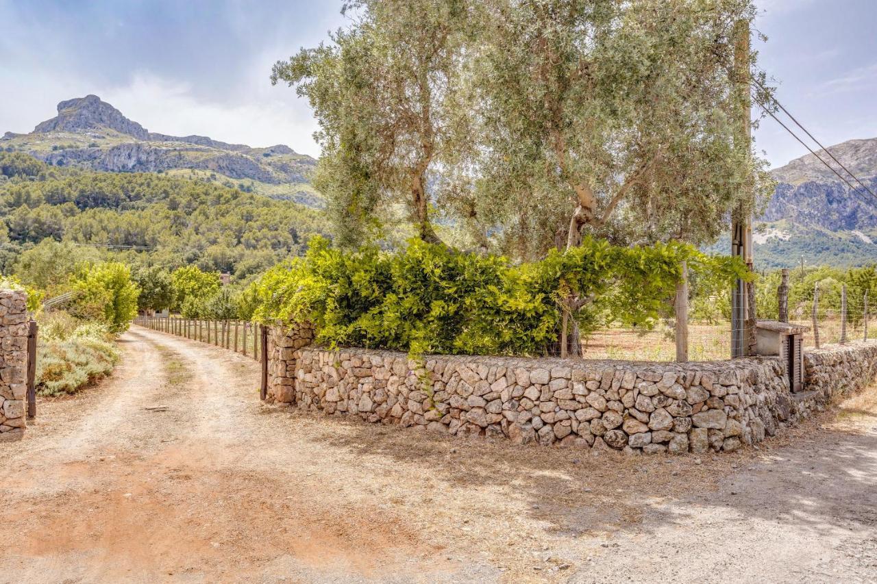 Finca L'Hort Nou ポレンサ エクステリア 写真